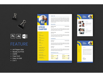 简历 简历 艺术总监 简介 3(CV Resume Art Director Profile 3)