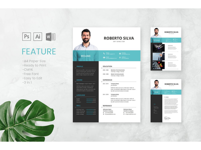 简历 简历 艺术总监 简介(CV Resume Art Director Profile)