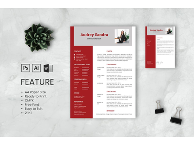 CV Resume Content Creator Profile 2(CV Resume Content Creator Profile 2)