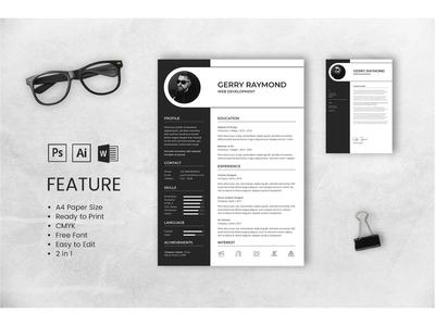 简历简历 Web 开发人员简介 3(CV Resume Web Developer Profile 3)