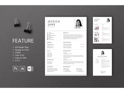 简历 简历 艺术总监 简介 2(CV Resume Art Director Profile 2)