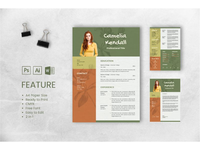 简历 简历 职称 4(CV Resume Professional Title 4)