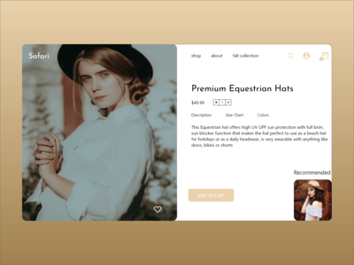 每日网页界面(Daily Web UI)