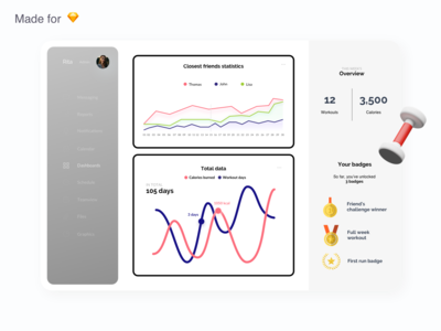 培训仪表板(Training Dashboard)