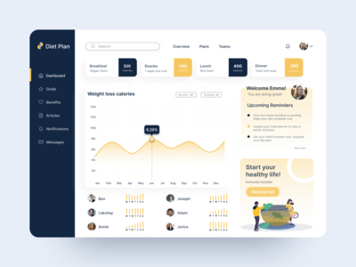 饮食应用仪表板和 UI 元素(Diet app dashboard and UI elements)