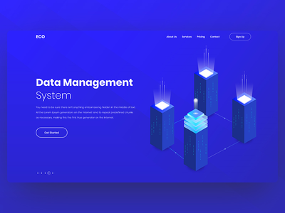 数据管理系统(Data Management System)