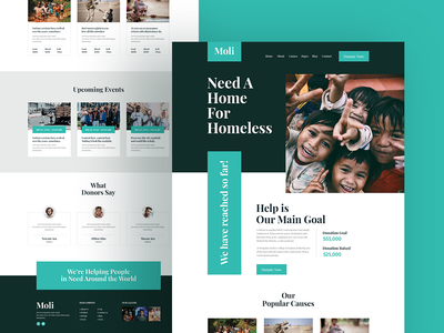 慈善和非营利登陆页面模板 - 捐赠模板(Charity & Nonprofit Landing Page Template - Donation Template)