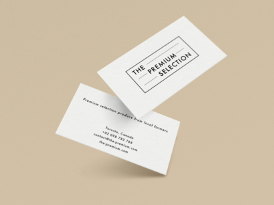 现代简约名片设计(Modern Minimalistic Business Card Design)