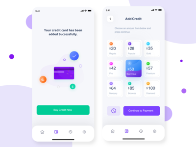 选择付款(Choose Payment)