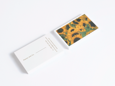 现代名片设计(Modern Business Card Design)