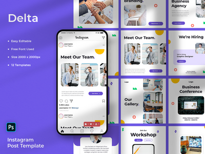 Delta - 商业社交媒体帖子模板(Delta - Business Social Media Post Template)