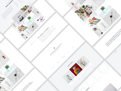 投资组合网页设计概念 HTML 模板(Portfolio Web Design Concept HTML Template)