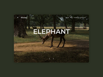 大象网(Elephant Web)