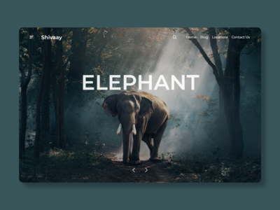 大象网(Elephant Web)