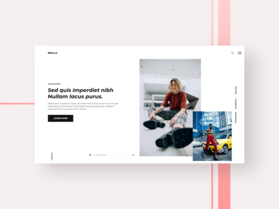 时尚网络概念(Fashion web concept)