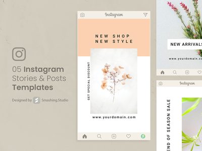 05 Instagram 故事和帖子(05 Instagram Stories & Posts)