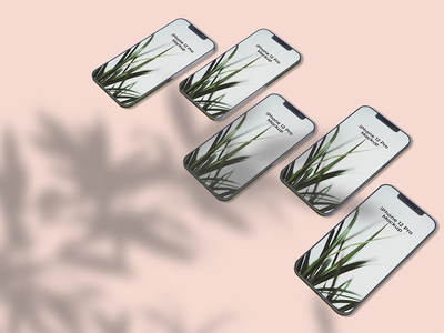 Iphone 样机(Iphone Mockups)