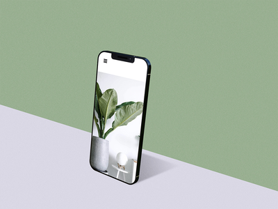 iPhone 12 Pro 模型(iPhone 12 Pro Mockups)