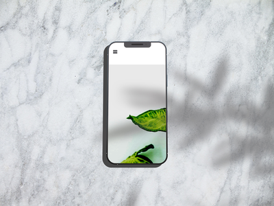 iPhone 模型(iPhone Mockups)