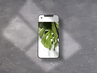 iPhone 模型(iPhone Mockups)