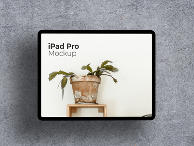 Ipad 模型(Ipad Mockups)