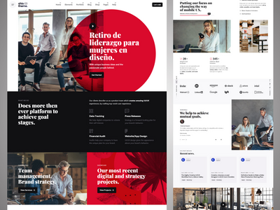 数字营销 wordpress 主题(Digital marketing wordpress Theme)
