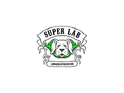 穿着绿色斗篷的超级拉布拉多犬(Super Labrador Retriever Dog Wearing Green Cape)