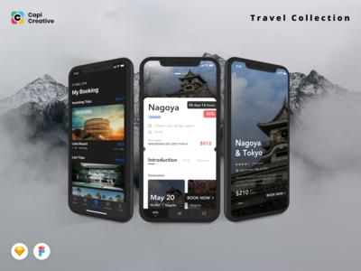 LiTour - 旅行预订应用程序 UI 套件 #3(LiTour - Travel Booking App UI Kit #3)