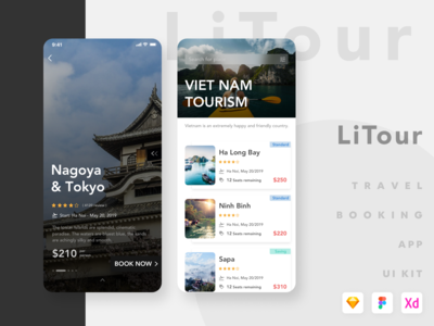 LiTour - 旅行预订应用程序 UI 套件 #4(LiTour - Travel Booking App UI Kit #4)
