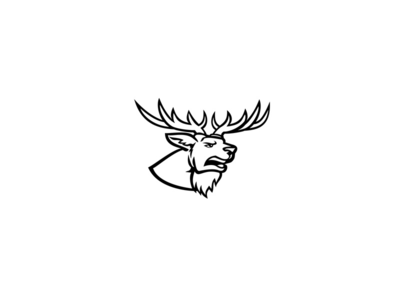 红鹿或鹿 Elaphus 雄鹿或雄鹿的头与鹿角咆哮的吉祥物(Head of a Red Deer or Cervus Elaphus Stag or Buck with Antlers Roaring Mascot)