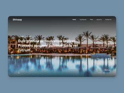度假村网络概念(Resort Web Concept)