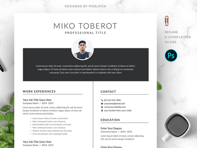 最小的简历模板(Minimal Resume Template)