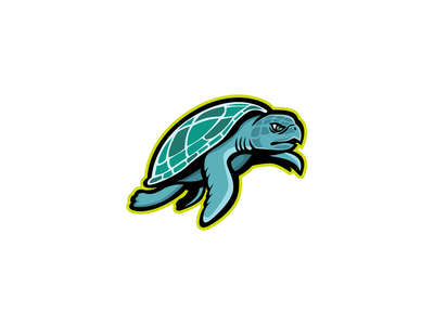 雷德利海龟吉祥物(Ridley Sea Turtle Mascot)