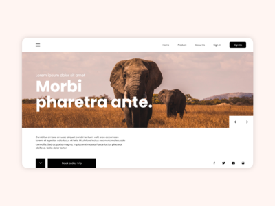 野生动物园网络概念(safari web concept)