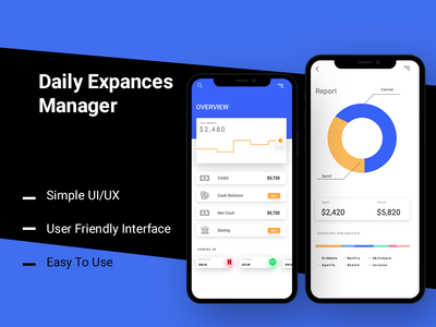 日常扩展经理(Daily Expance Manager)