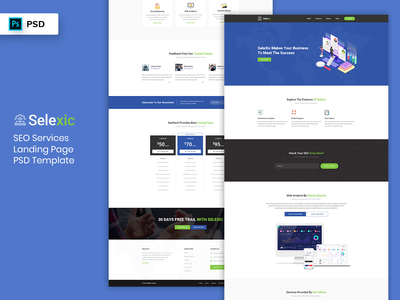 SEO服务登陆页面PSD模板(SEO Service Landing Page PSD Template)