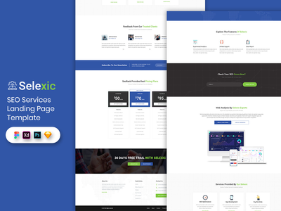 SEO服务登陆页面模板(SEO Service Landing Page Template)