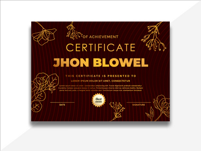 专业证书模板。(Professional Certificate Template.)