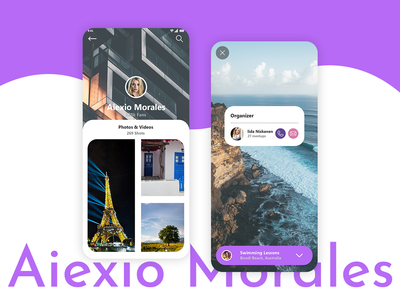 Aiexio 莫拉莱斯用户界面(Aiexio Morales UI)