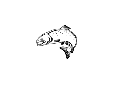 银鲑三文鱼或银鲑鱼跳跃复古木刻黑色和白色(Coho Salmon Silver Salmon or Silvers Jumping Up Retro Woodcut Black and White)