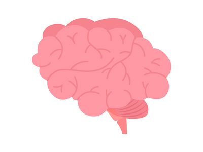 脑半平面彩色矢量元素(Brain semi flat color vector element)