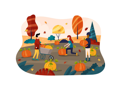 秋季收获南瓜矢量(Autumn Harvest Pumpkin Vector)