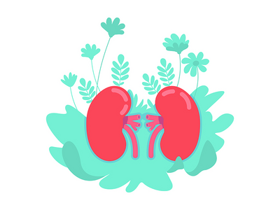 解剖肾平面概念矢量图解(Anatomical kidney flat concept vector illustration)
