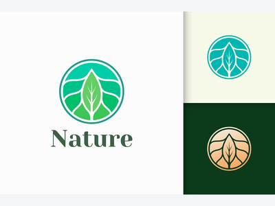 健康与美丽奢华风格的抽象花卉标志(Abstract Flower Logo in Luxury Style For Health and Beauty)