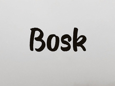 Bosk – 手工笔刷字体(Bosk – handmade brush font)