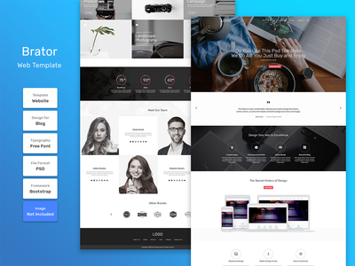 Brator 商业机构网页模板(Brator business agency web template)