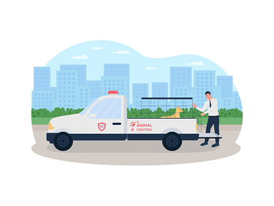 动物控制 2D 矢量网页横幅、海报(Animal control 2D vector web banner, poster)