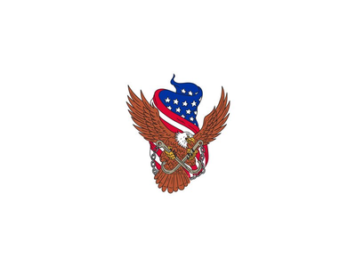 美国鹰翅膀美国国旗绘图(American Eagle Wings USA Flag Drawing)