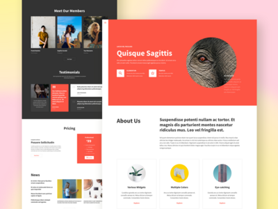企业多用途登陆页面(Corporate Multipurpose Landing Page)