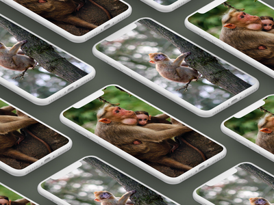 后台界面(Background UI)